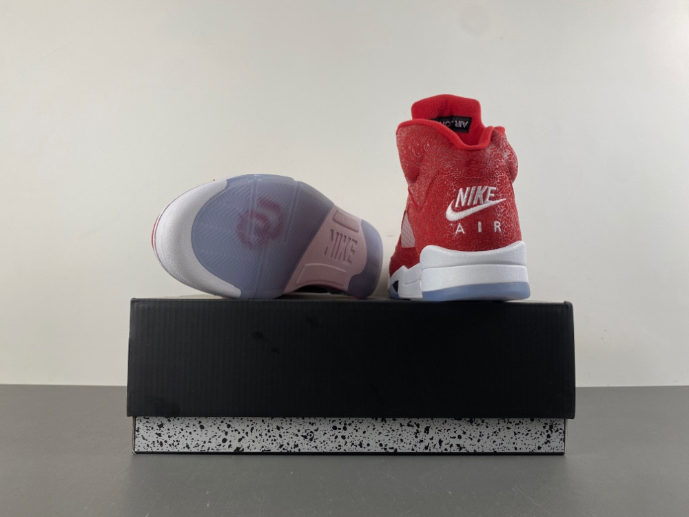 Air Jordan 5 Retro 