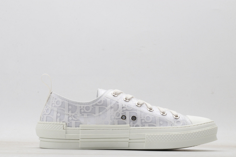 D10r b23 oblique low sneaker