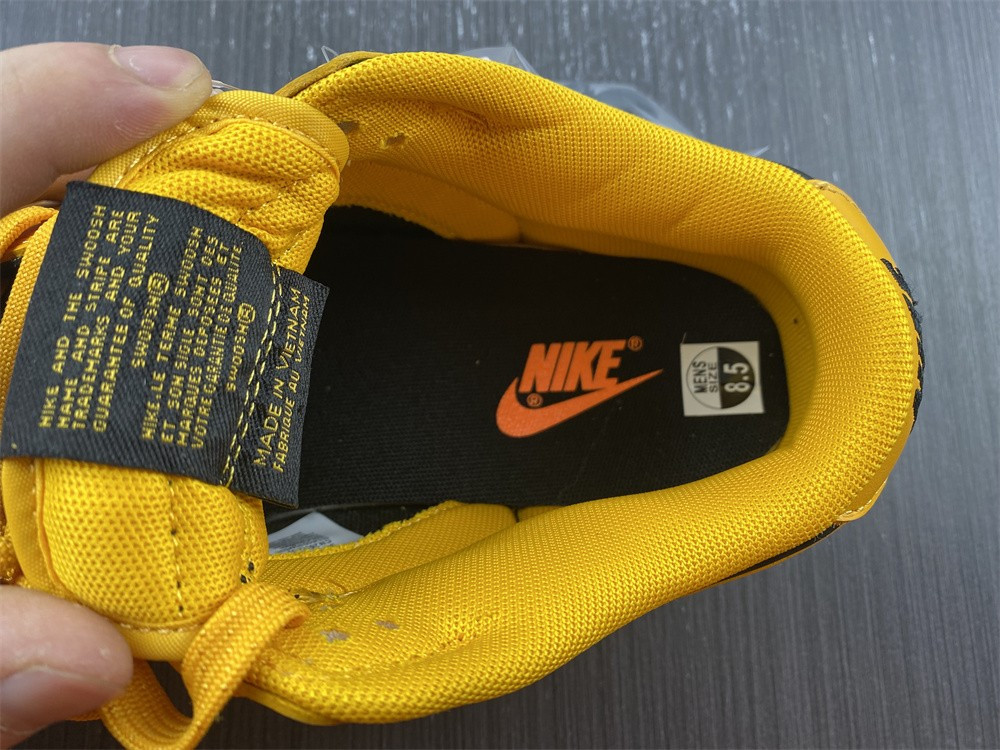nike dunk low G01denrod (2021) - dd1391-004