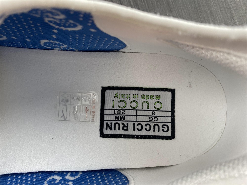guci sneaker