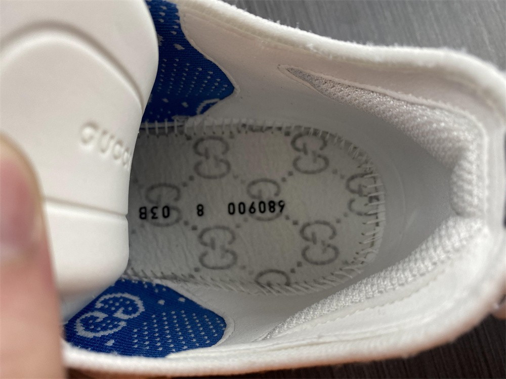 guci sneaker