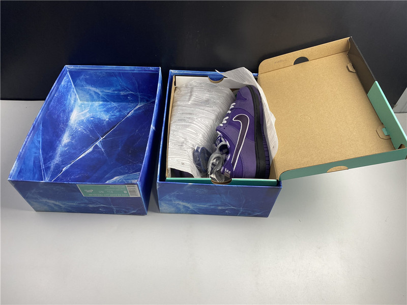 nike sb dunk low x concepts bv1310-555