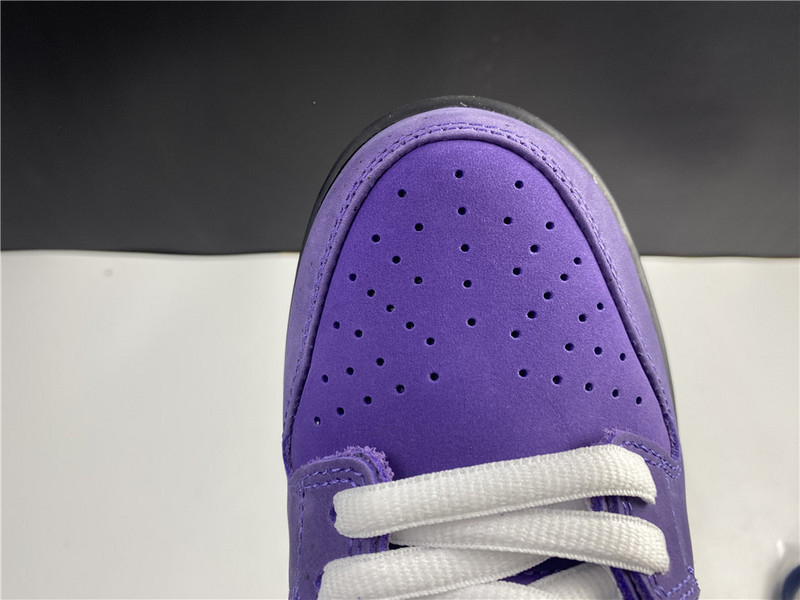 nike sb dunk low x concepts bv1310-555