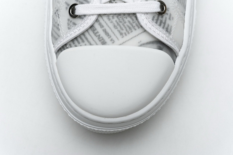 D*or b23 oblique low sneaker