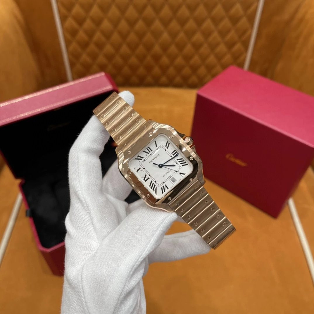 Ca*t1er watch
