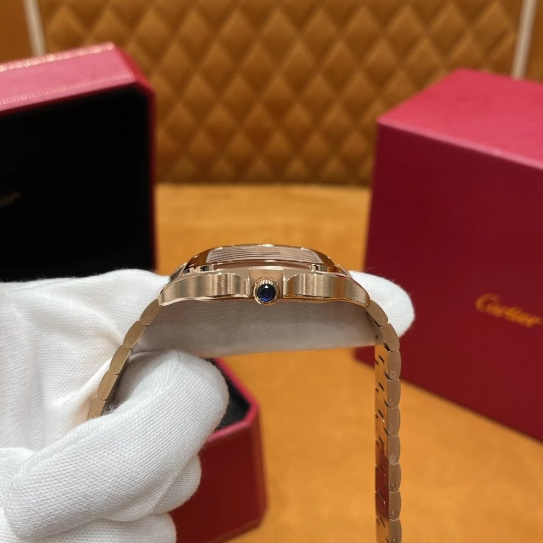 Ca*t1er watch