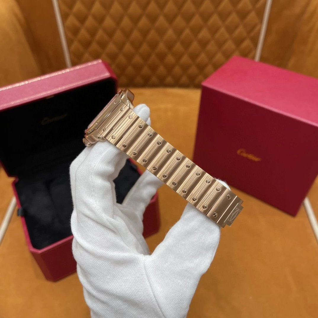 Ca*t1er watch