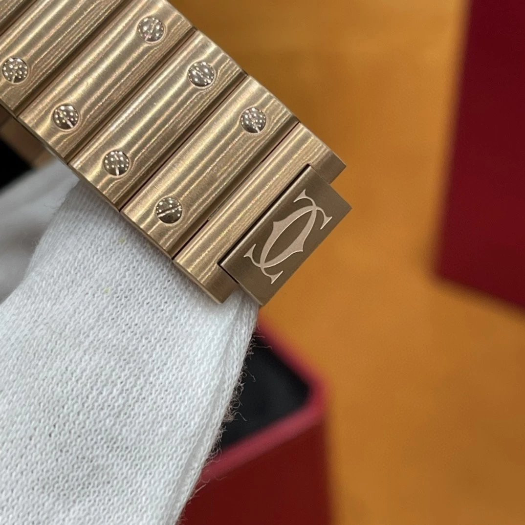 Ca*t1er watch