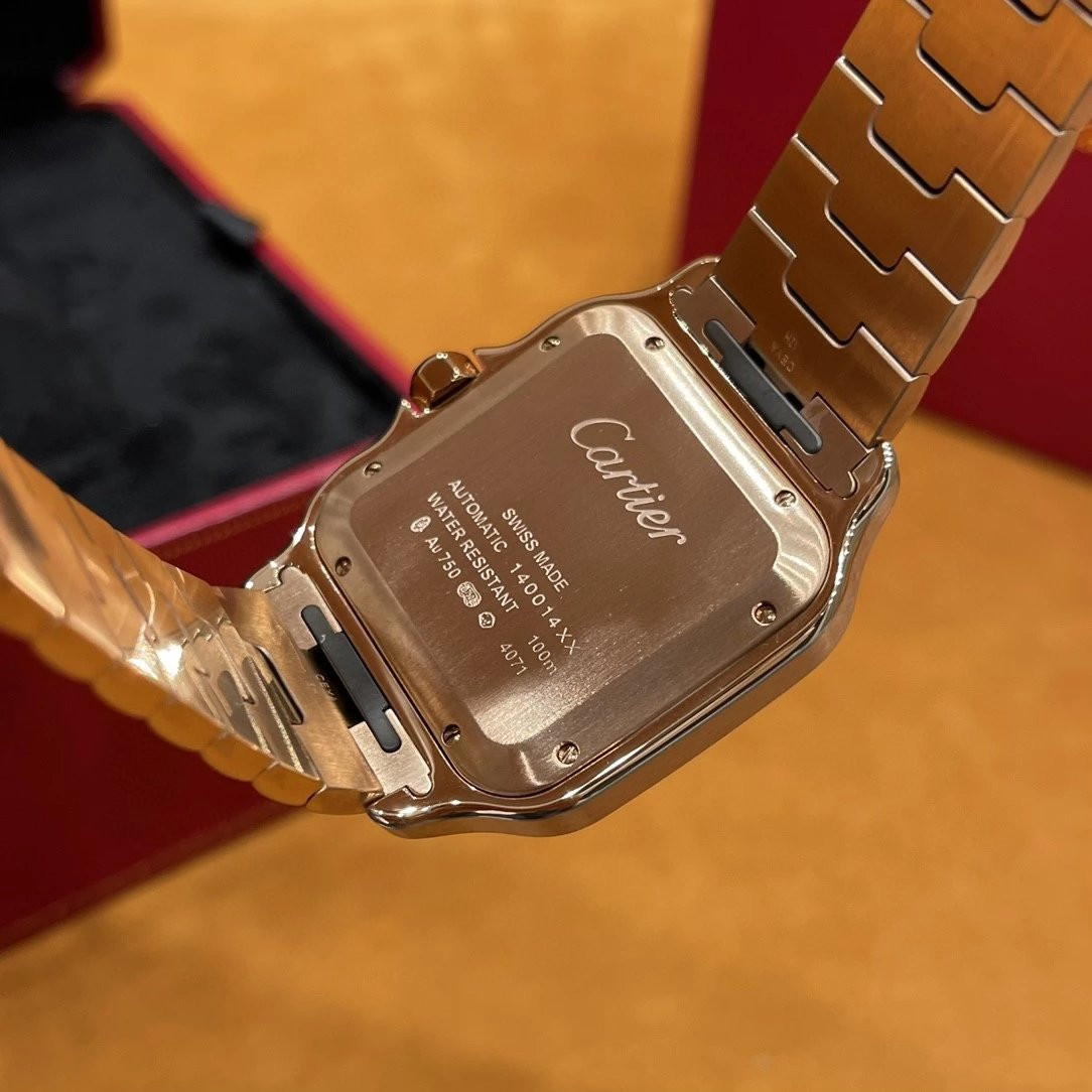 Ca*t1er watch