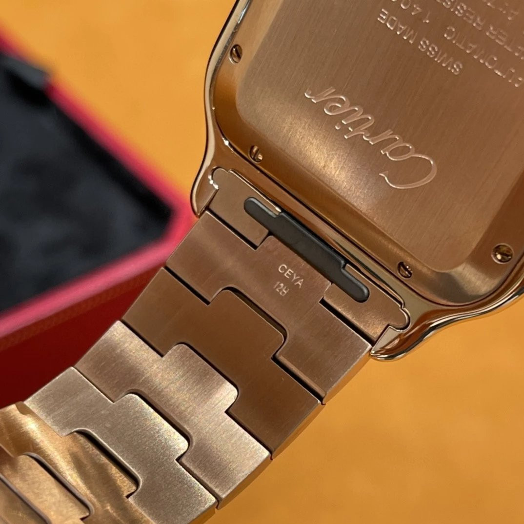 Ca*t1er watch