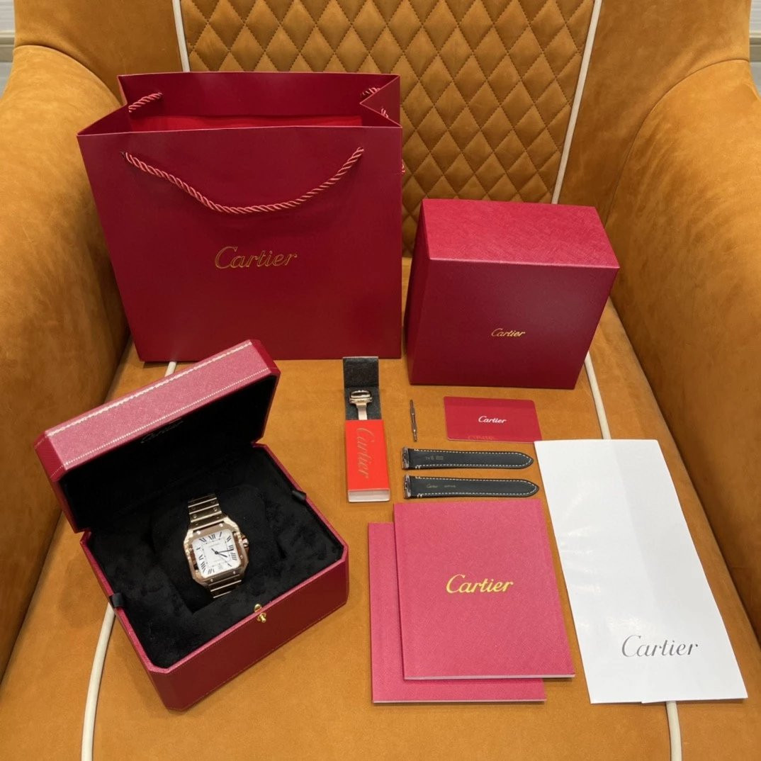 Ca*t1er watch
