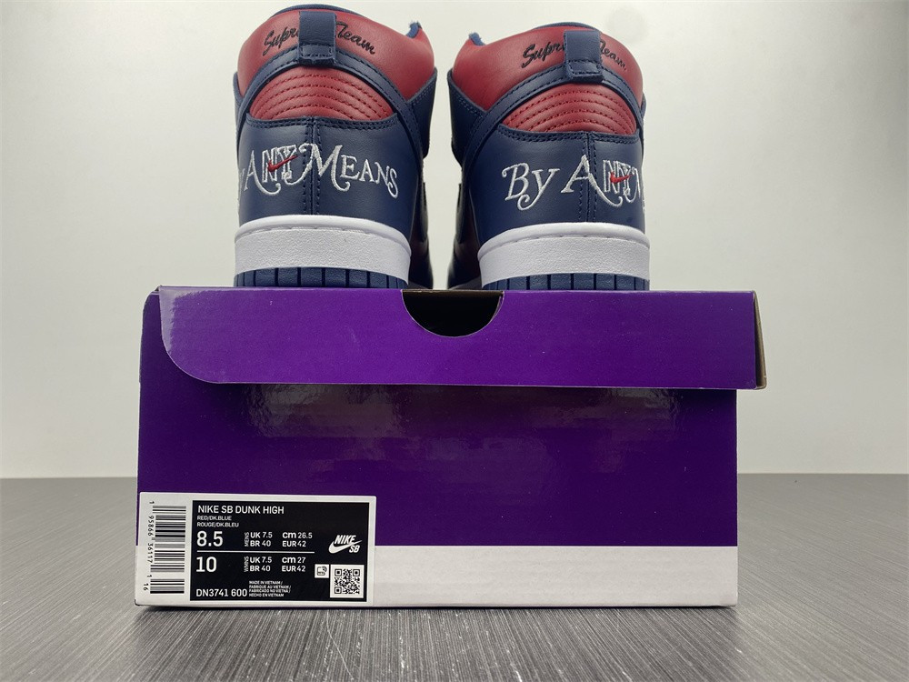 nike sb dunk high by any means dn3741-600